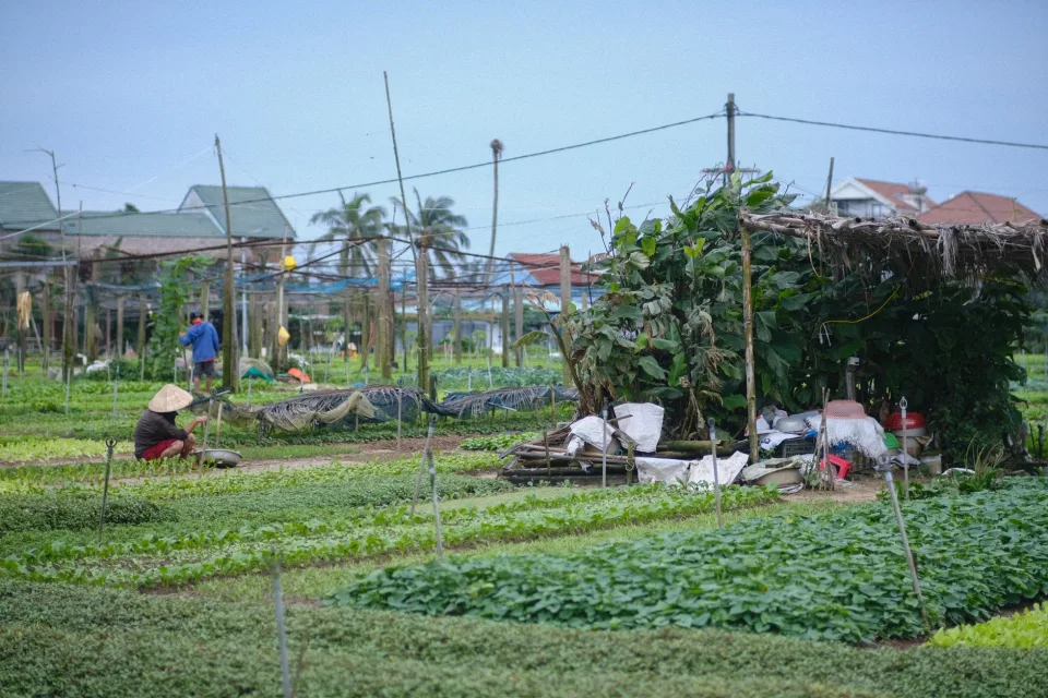 Đội ngũ kỹ thuật tại vườn