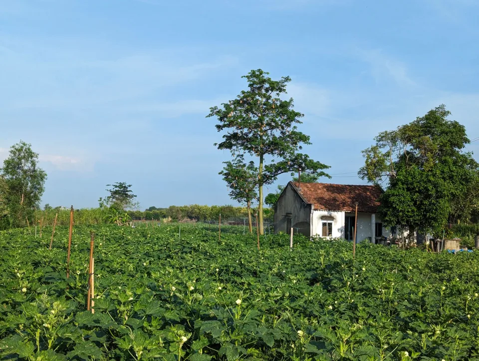 Đội ngũ kỹ thuật tại vườn